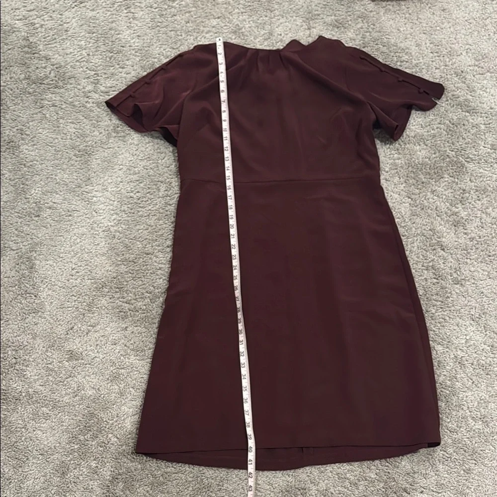 Elegant Burgundy Dress - Picture 2 of 6